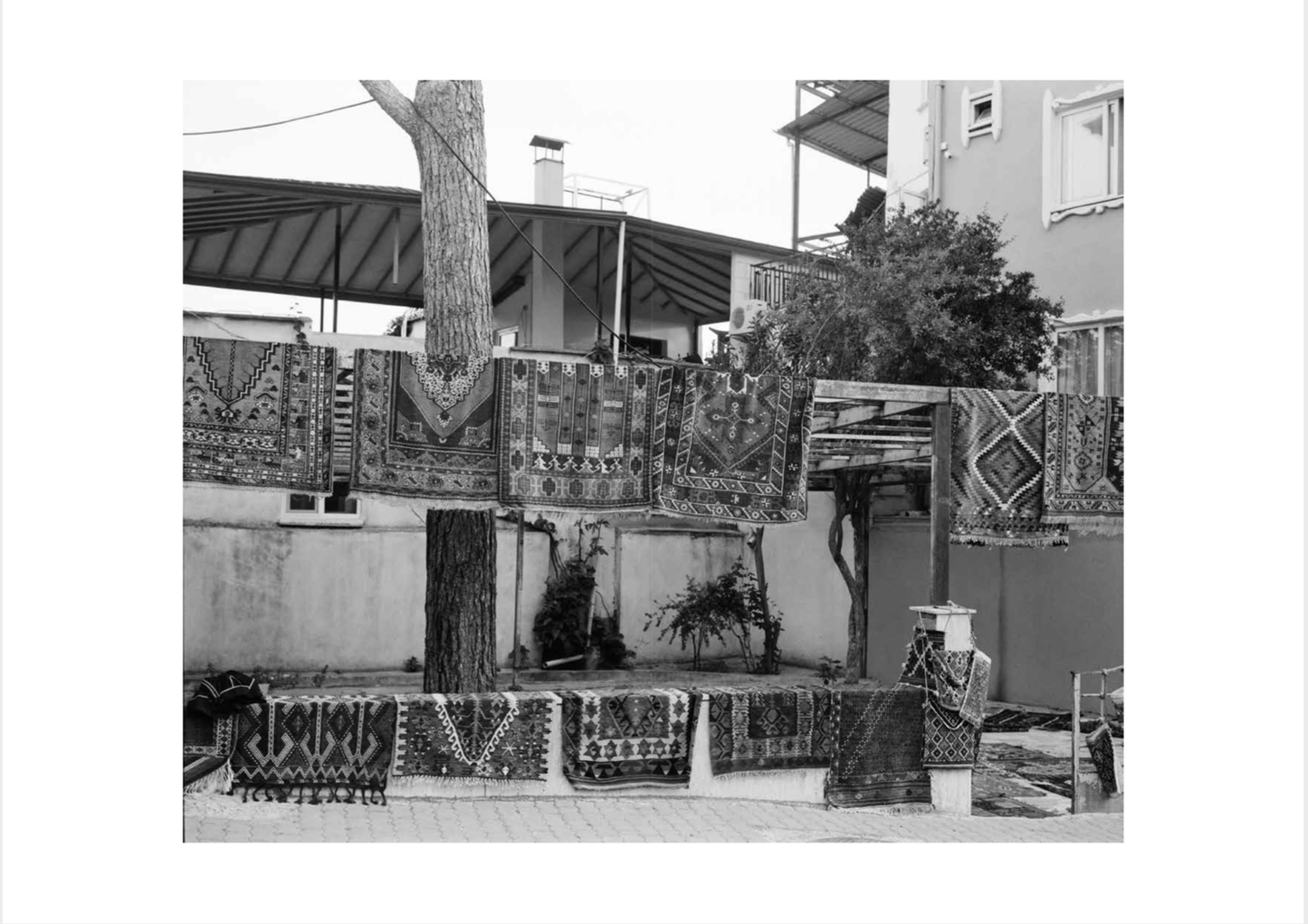 Andrej Lamut / Orient