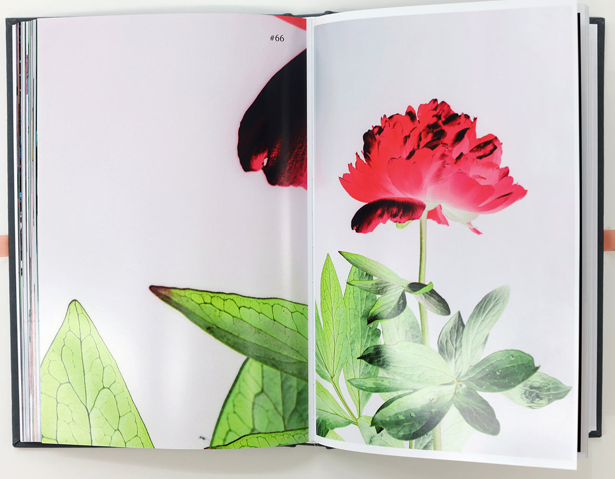 Tanja Lažetić / 100 Flowers