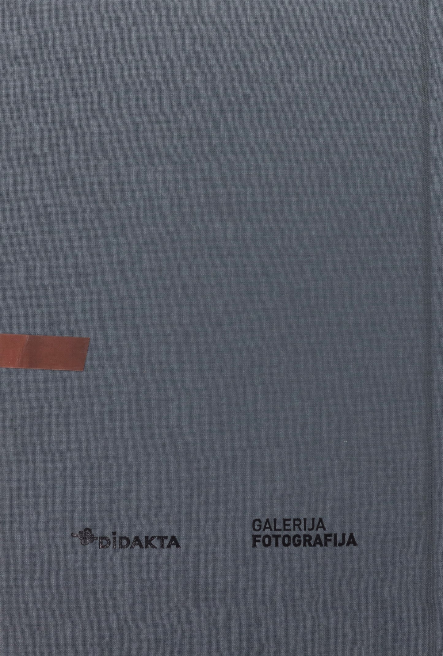 Tanja Lažetić / 100 Flowers