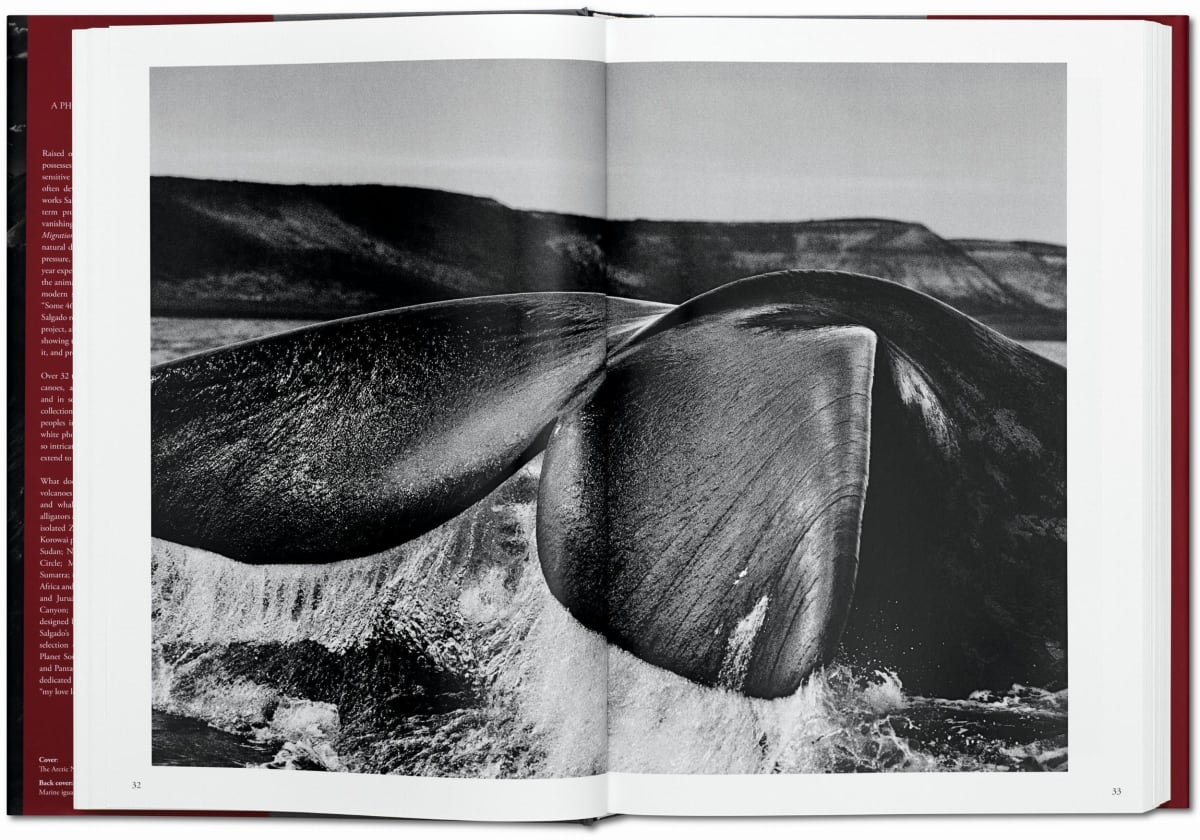 Sebastião Salgado / Genesis
