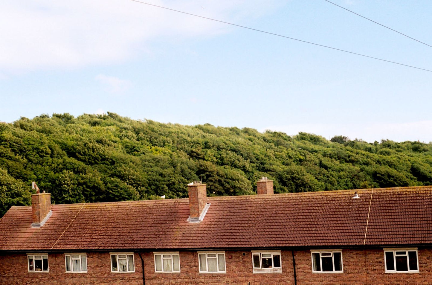 Andrej Lamut / Orient