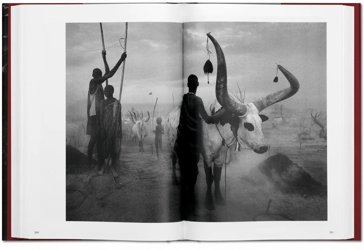 Sebastião Salgado / Genesis