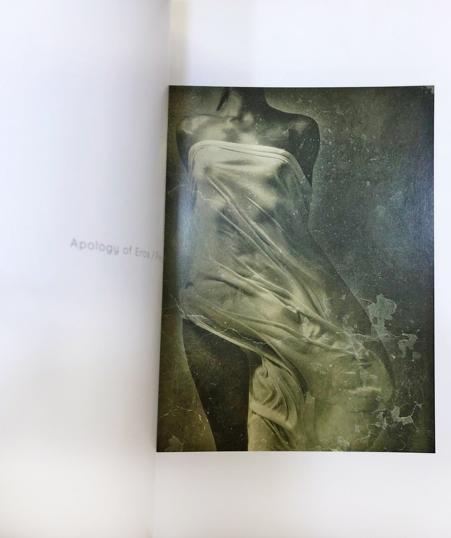 Almin Zrno / Apologija Erosa