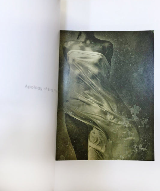 Almin Zrno / Apology of Eros