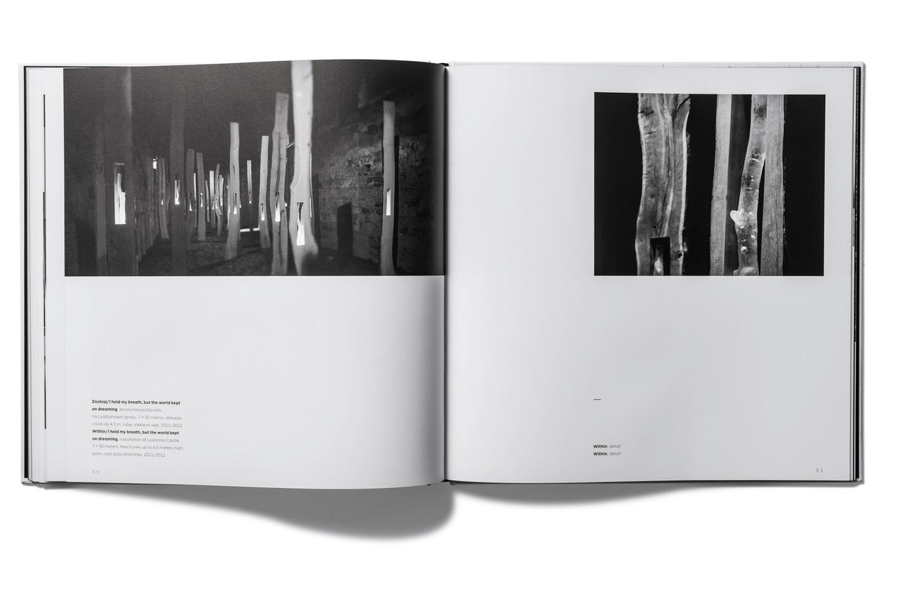 Tanja Pak / srednji dih