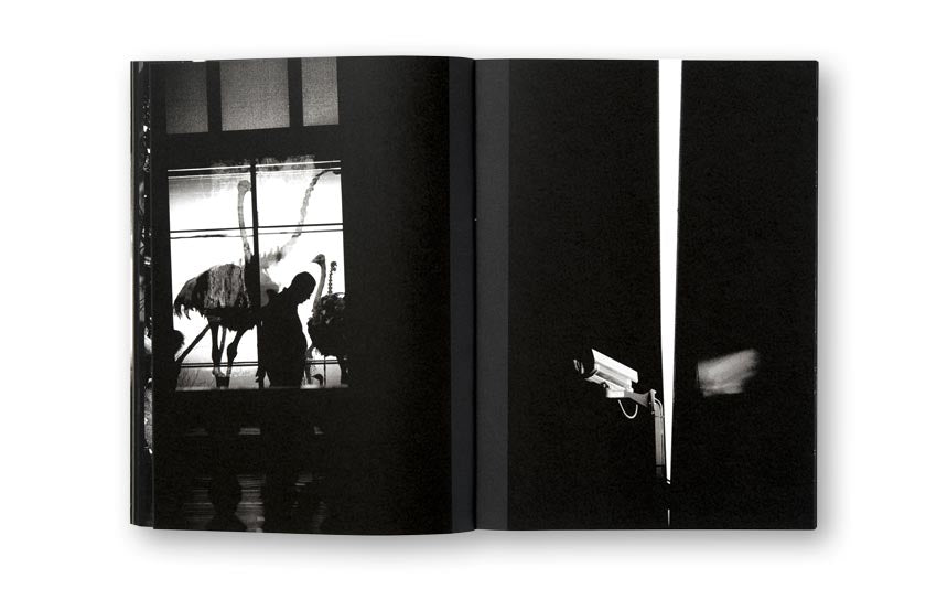 Andreas H. Bitesnich / Deeper Shades #04 Vienna