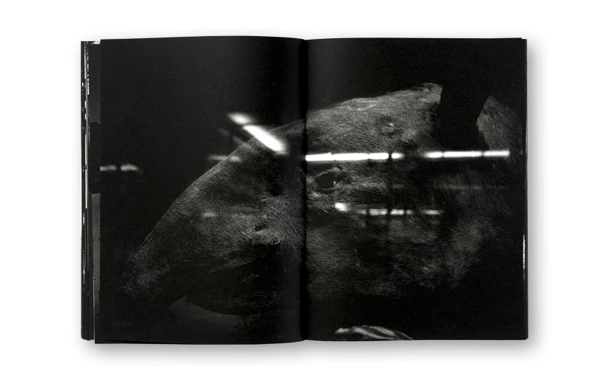 Andreas H. Bitesnich / Deeper Shades #04 Vienna