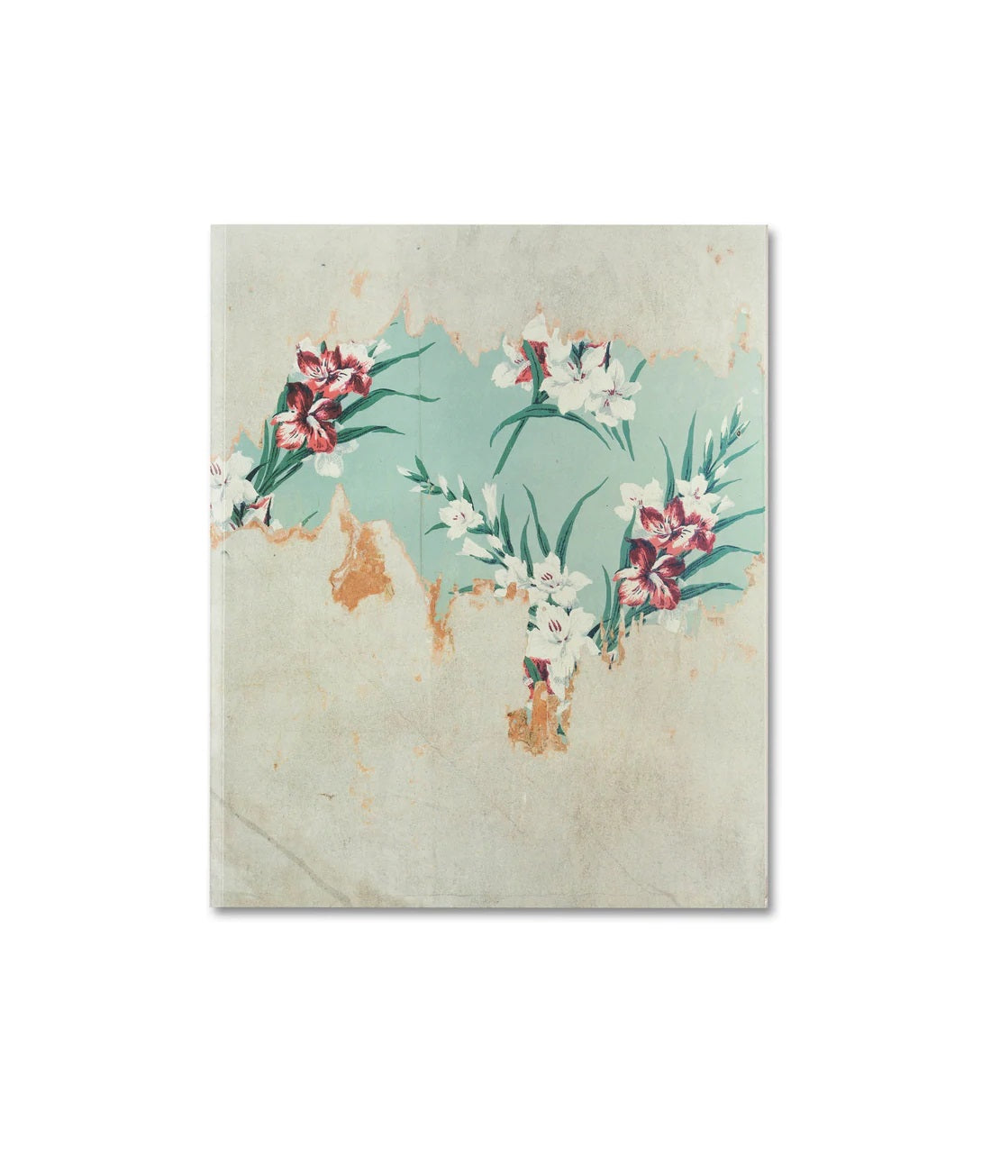 Alec Soth / Gathered Leaves Annotated