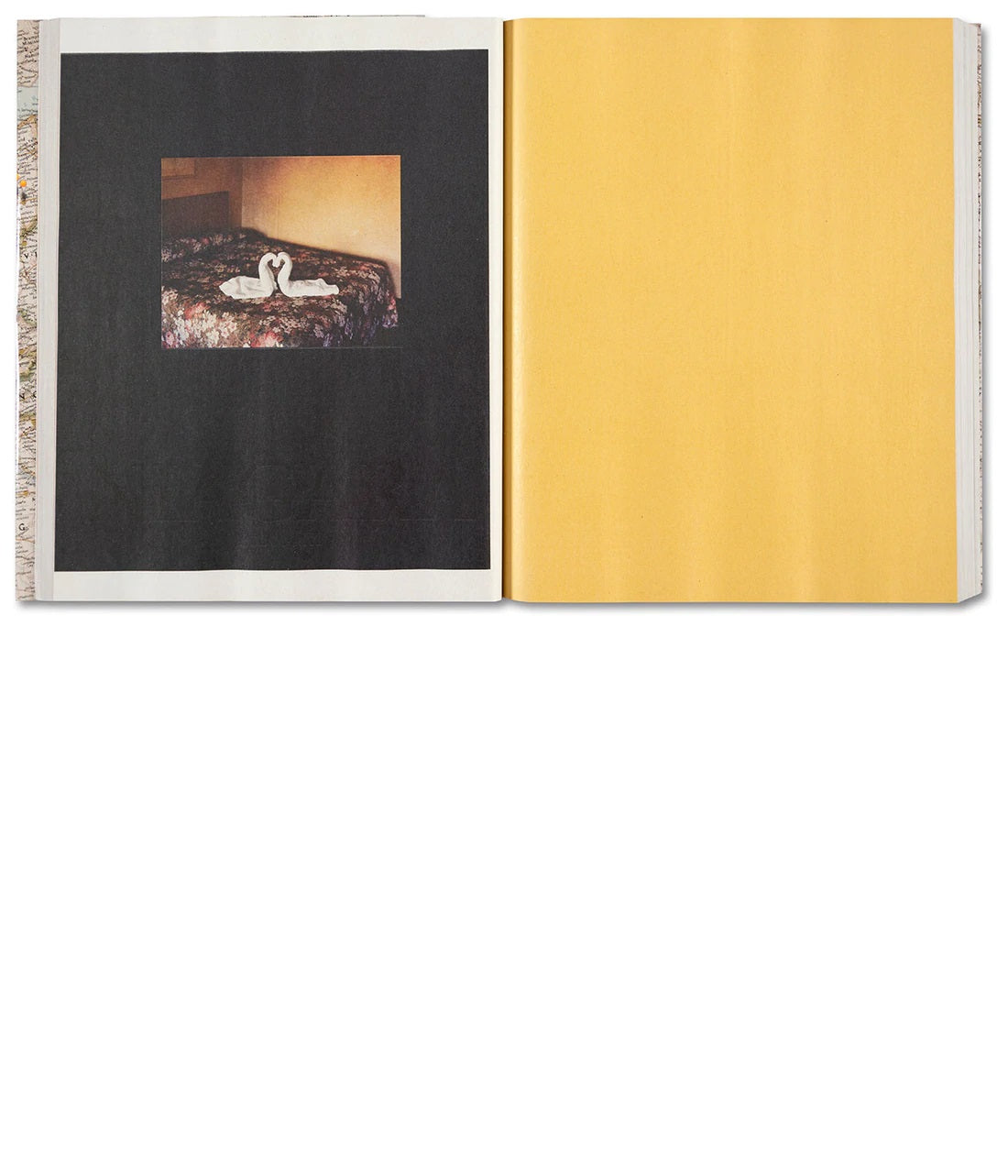 Alec Soth / Gathered Leaves Annotated