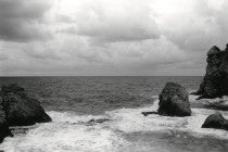 Ana Opalić / Brsalje