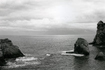 Ana Opalić / Brsalje