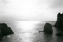 Ana Opalić / Brsalje