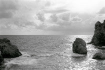 Ana Opalić / Brsalje