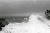 Ana Opalić / Brsalje