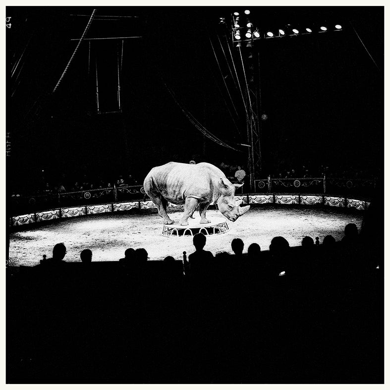 Jože Suhadolnik / Cirkus