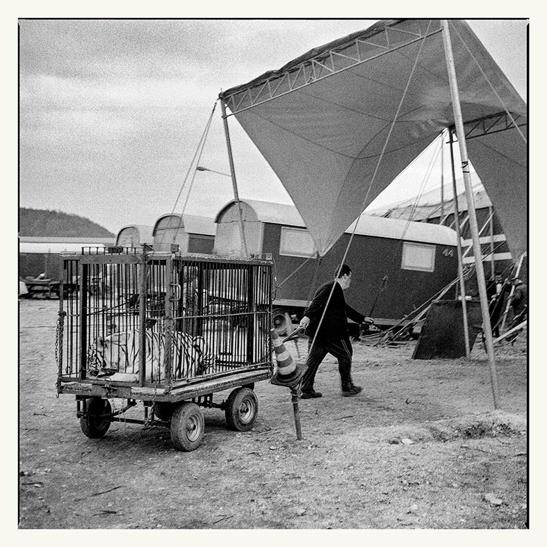 Jože Suhadolnik / Cirkus