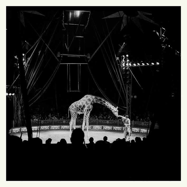 Jože Suhadolnik / Cirkus
