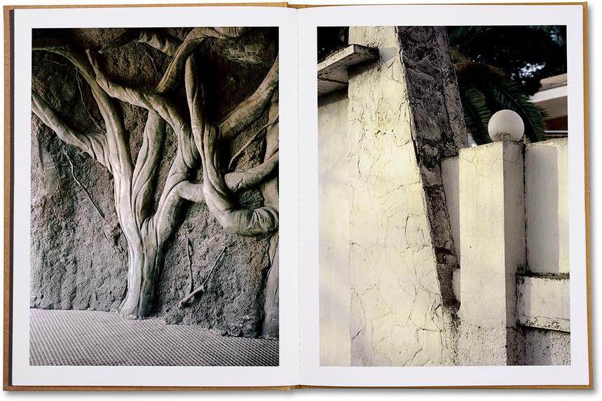 Grégoire Pujade-Lauraine / Double orbit