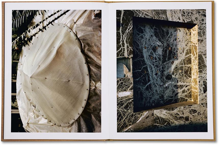 Grégoire Pujade-Lauraine / Double orbit