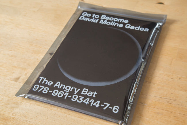 David Molina Gadea / Go to Become