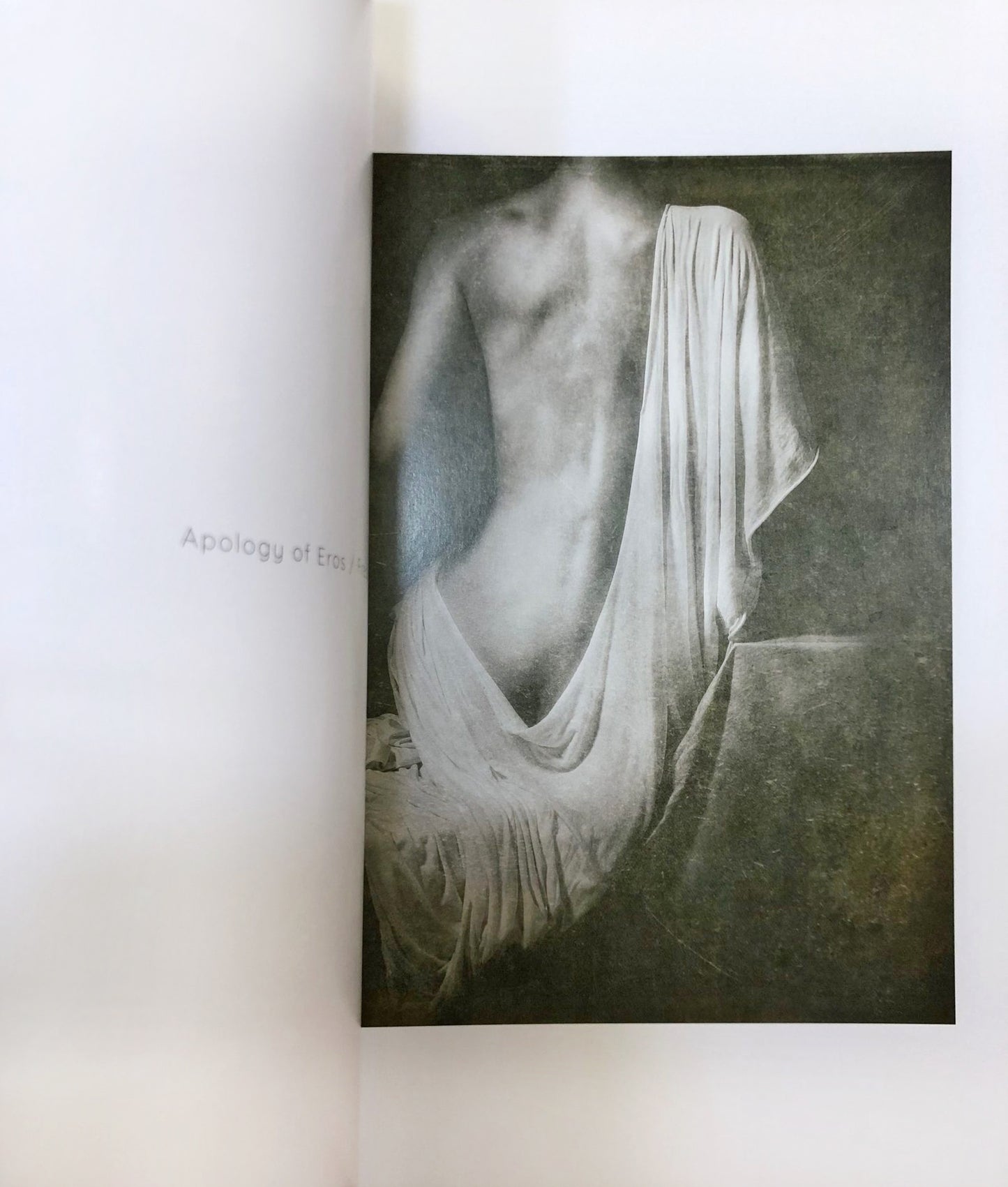 Almin Zrno / Apologija Erosa