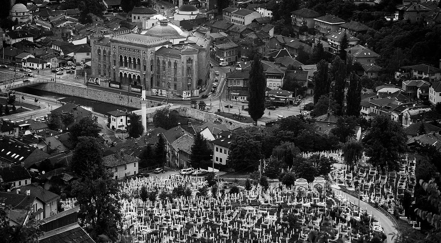 Almin Zrno / Vijećnica