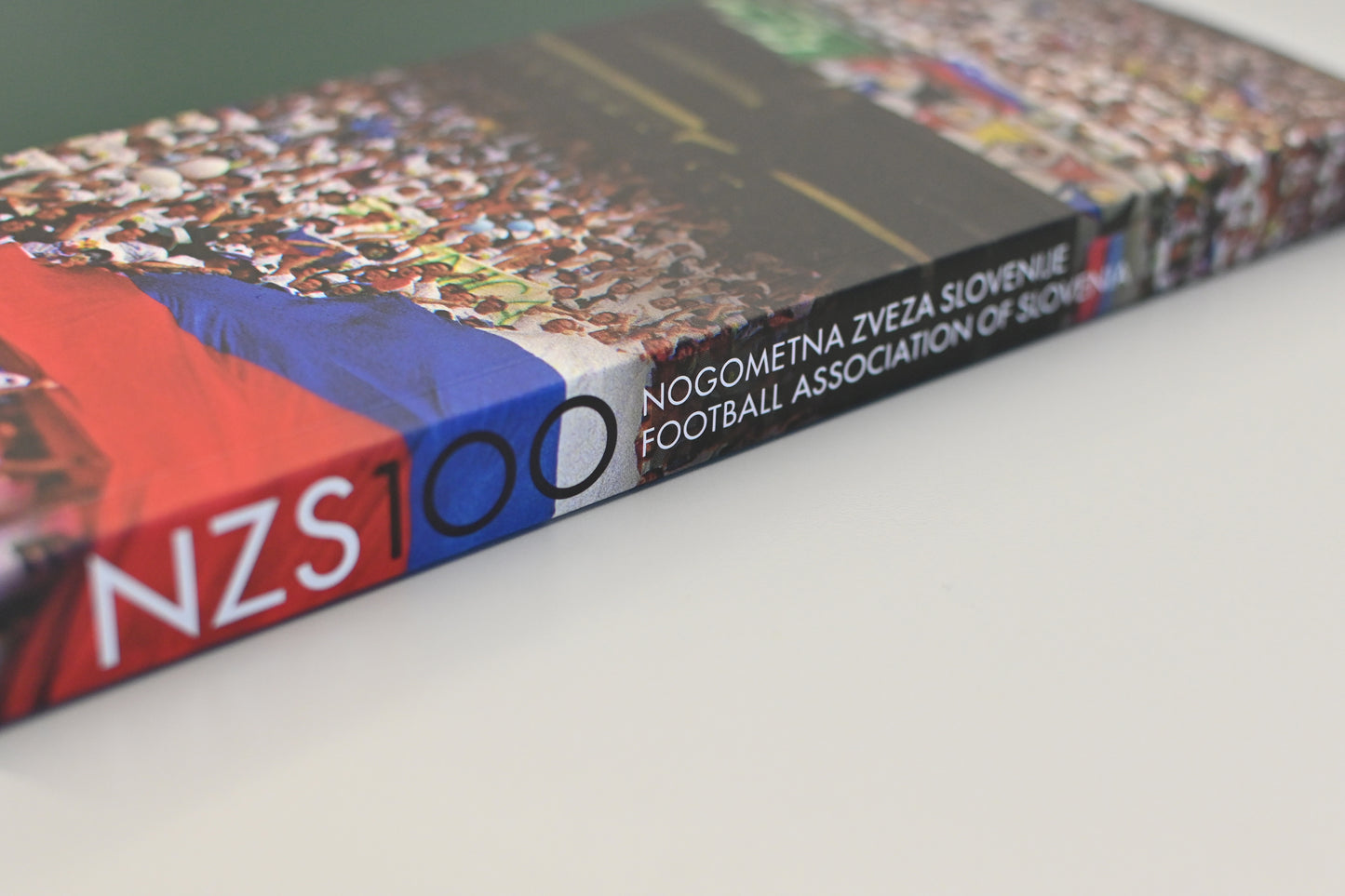 NZS 100