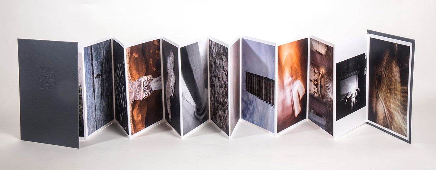 Bojan Brecelj / Vodni zmaj Benetk