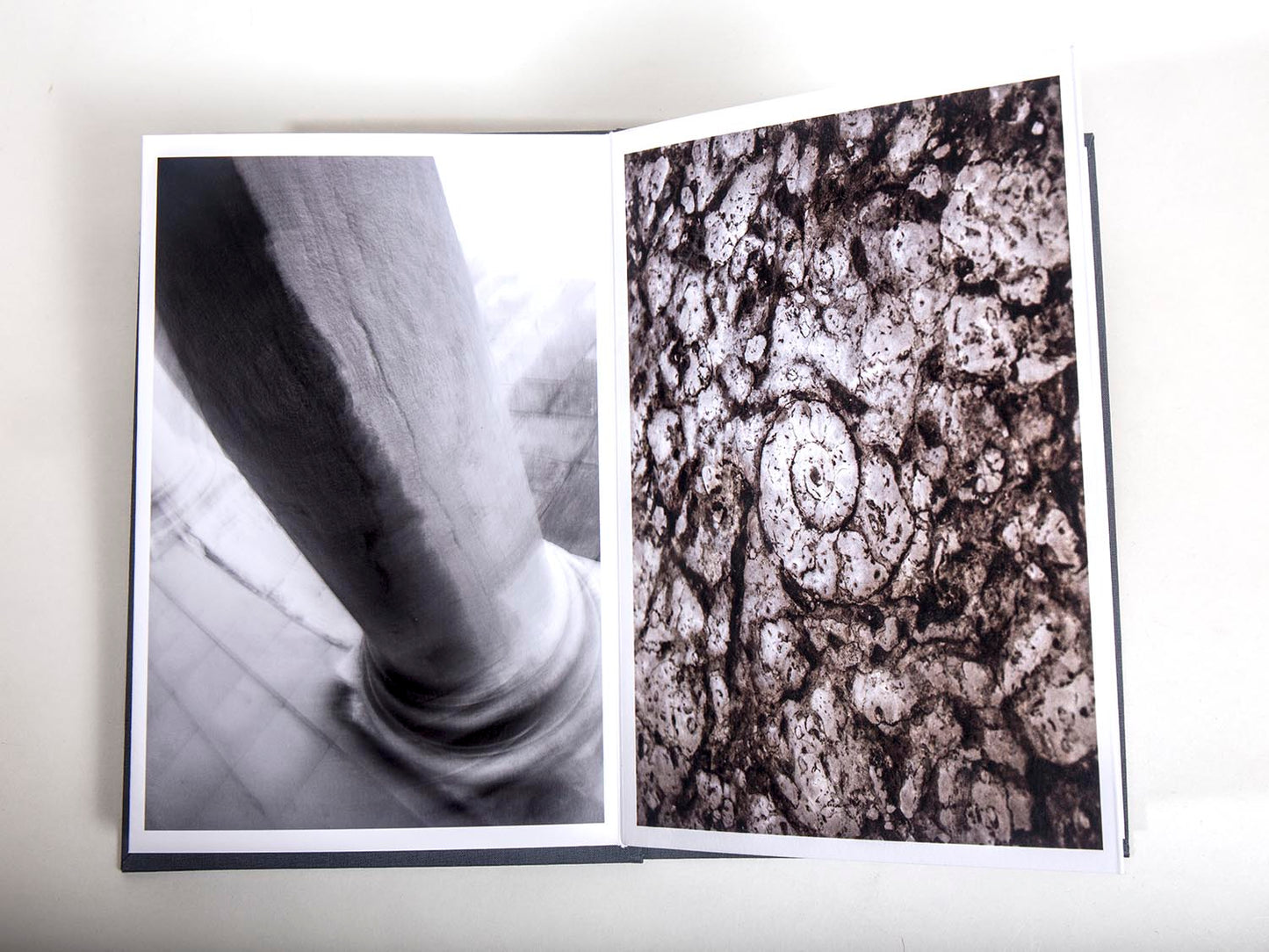 Bojan Brecelj / Vodni zmaj Benetk