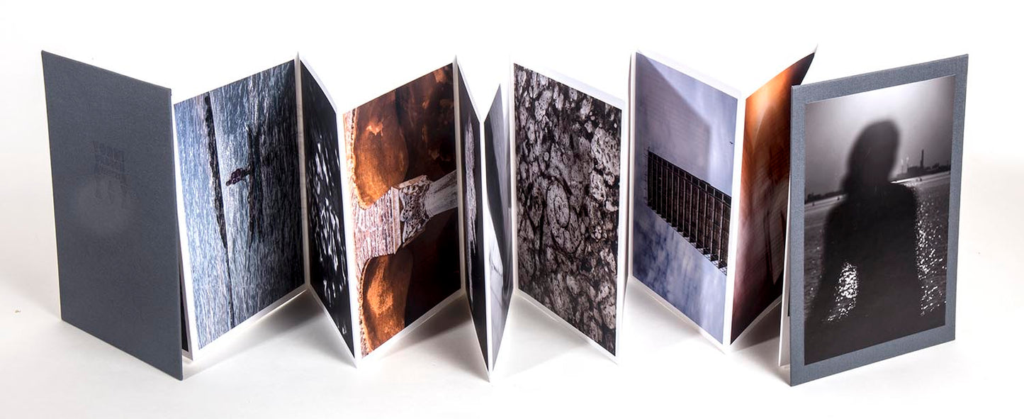 Bojan Brecelj / Vodni zmaj Benetk