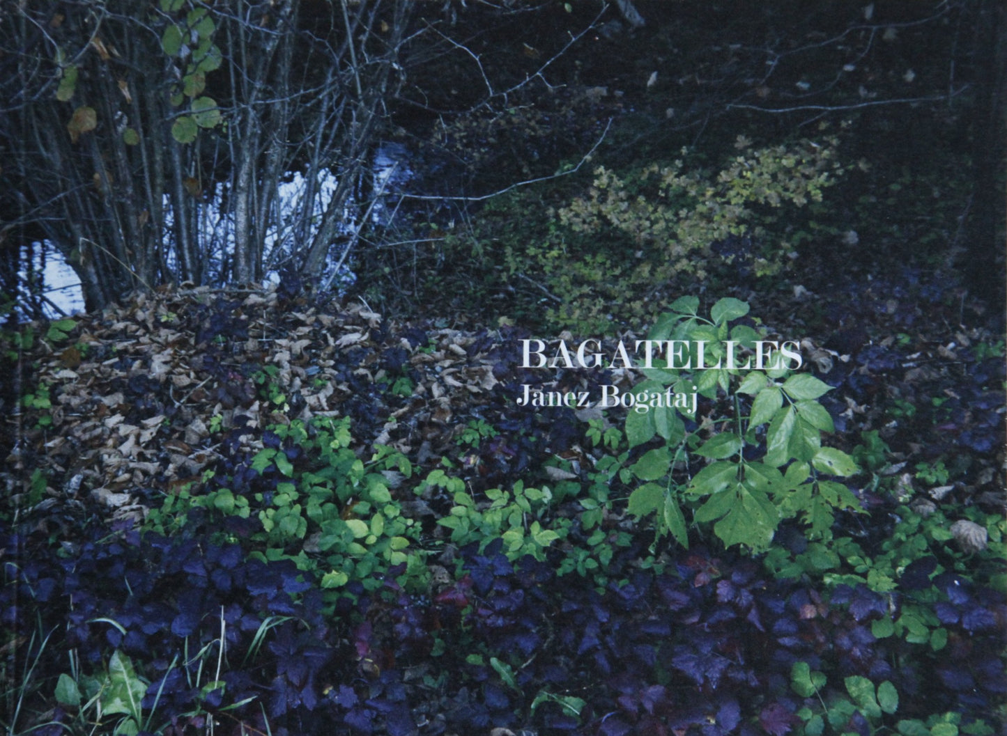 Janez Bogataj / Bagatelles
