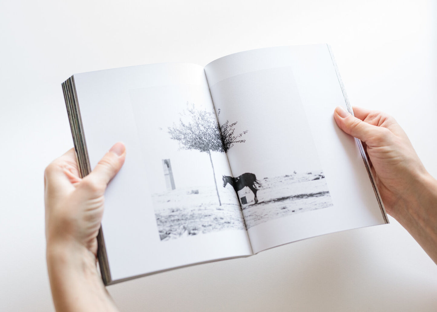 Andrej Lamut / Orient