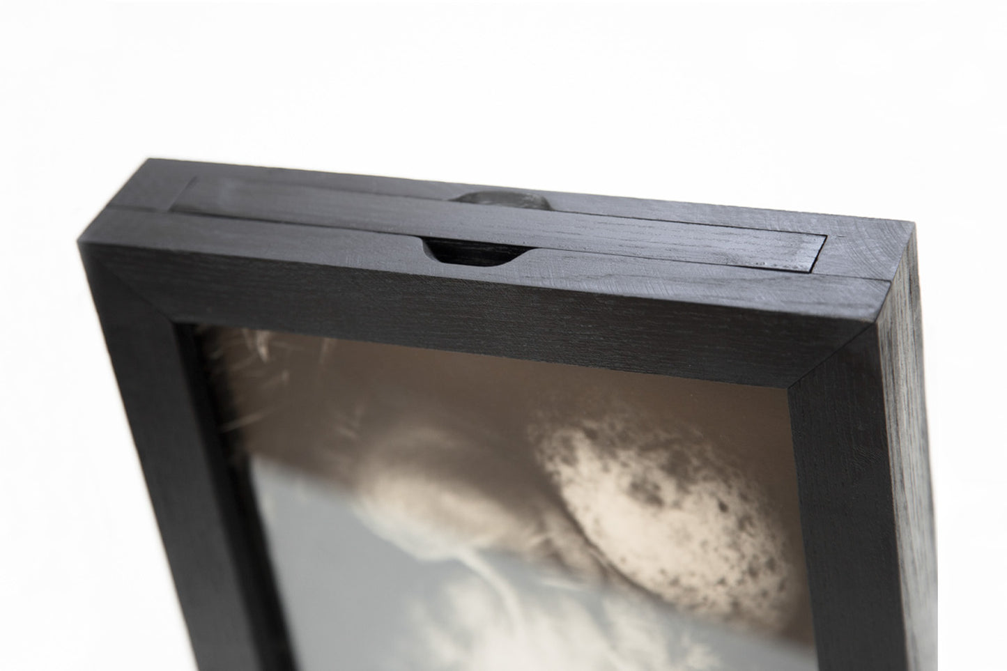 Andrej Lamut / Nokturno – posebna izdaja