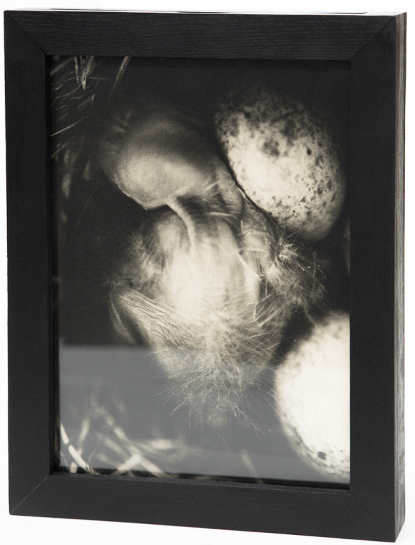 Andrej Lamut / Nokturno – posebna izdaja