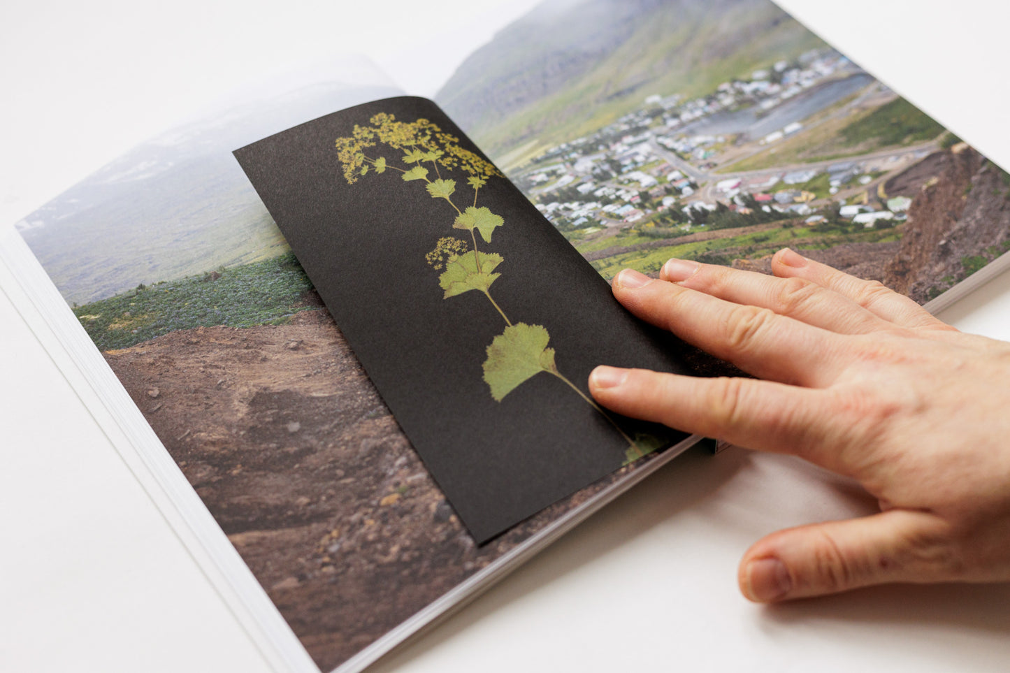 Matjaž Rušt, Katja Goljat, Ströndin Studio / Skriðusögur (The Landslide Stories)