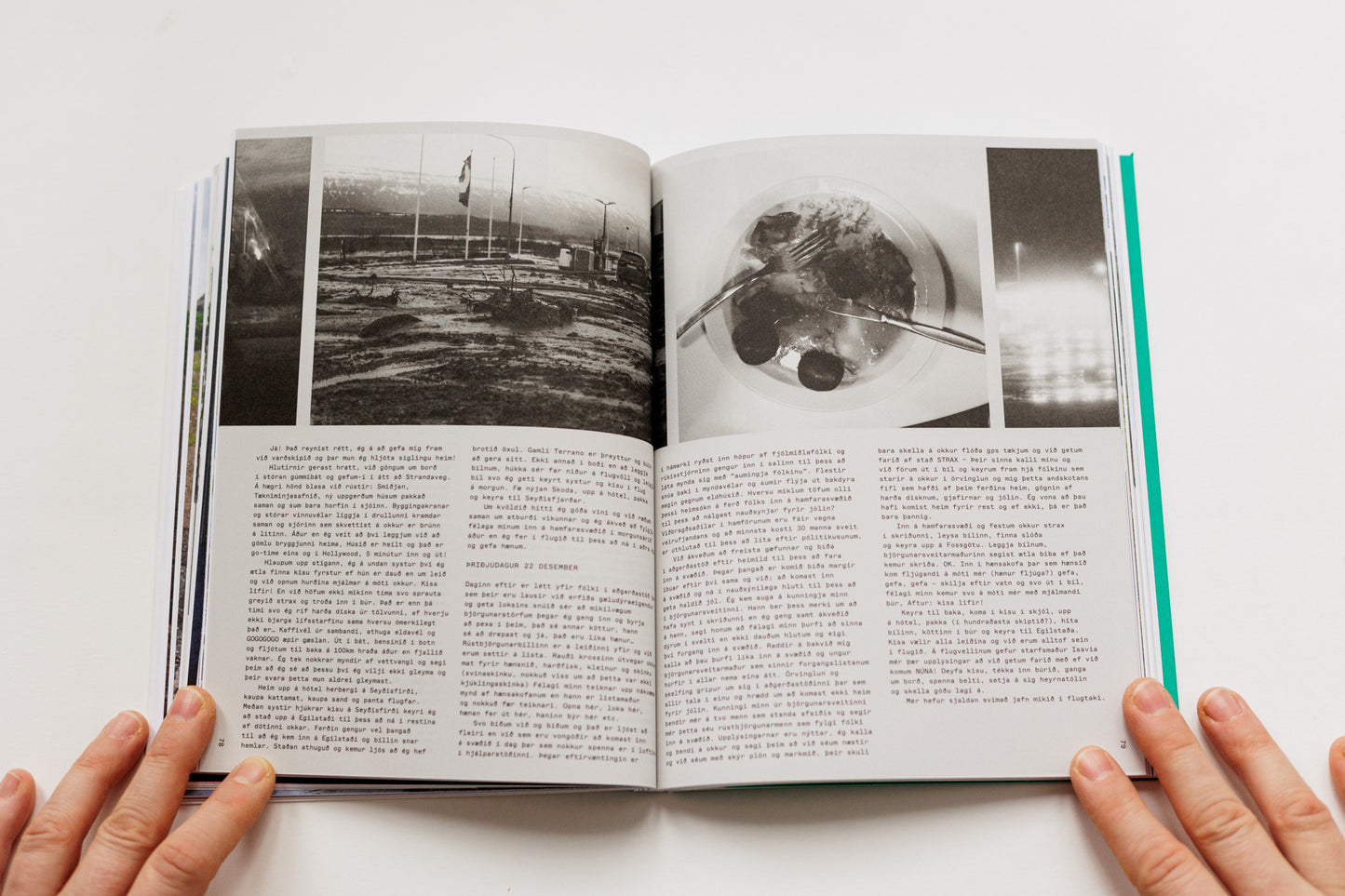 Matjaž Rušt, Katja Goljat, Ströndin Studio / Skriðusögur (The Landslide Stories)