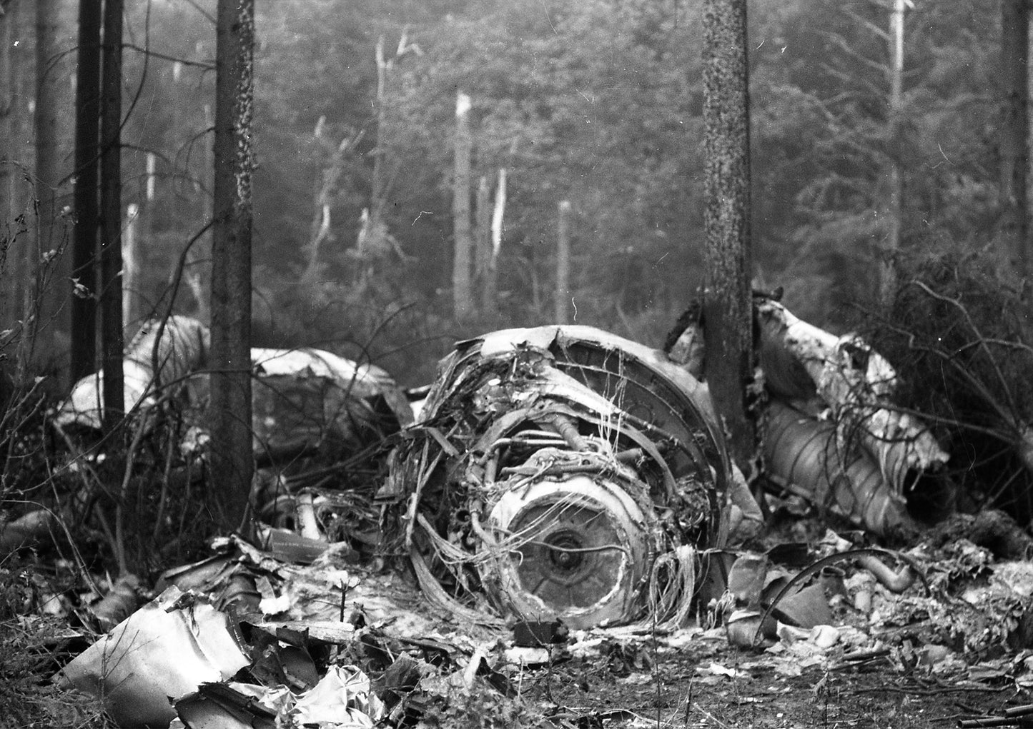 Saša Ribič / Flight 105