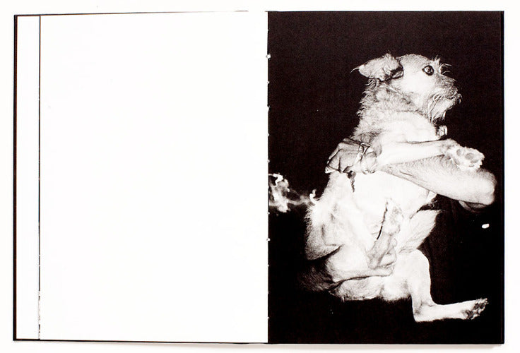 Andrej Lamut / Nokturno