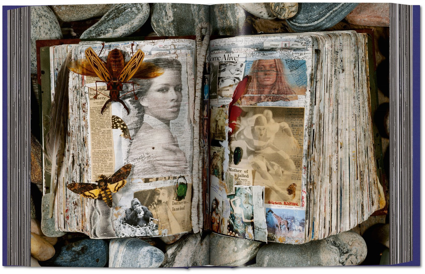 Peter Beard XL