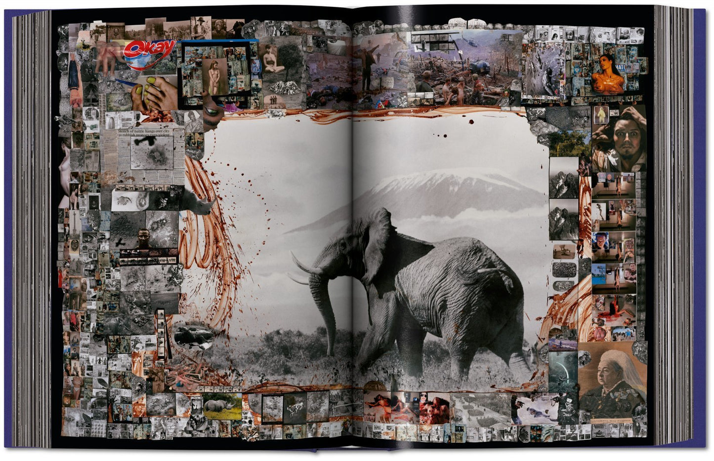 Peter Beard XL