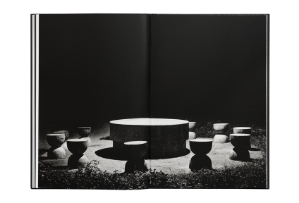 Dan Er. Grigorescu / Brancusi