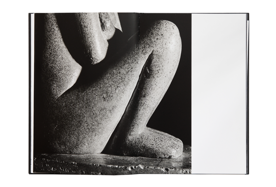 Dan Er. Grigorescu / Brancusi