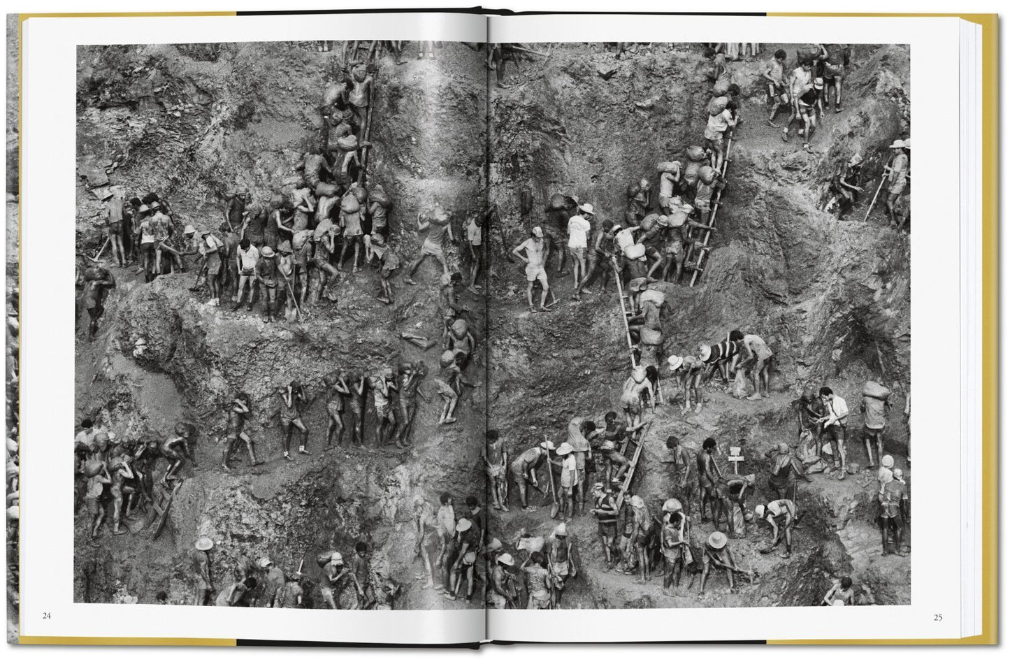 Sebastião Salgado / Gold
