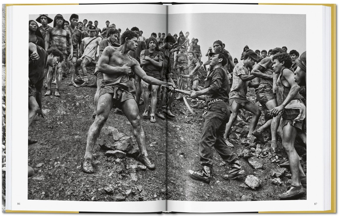 Sebastião Salgado / Gold
