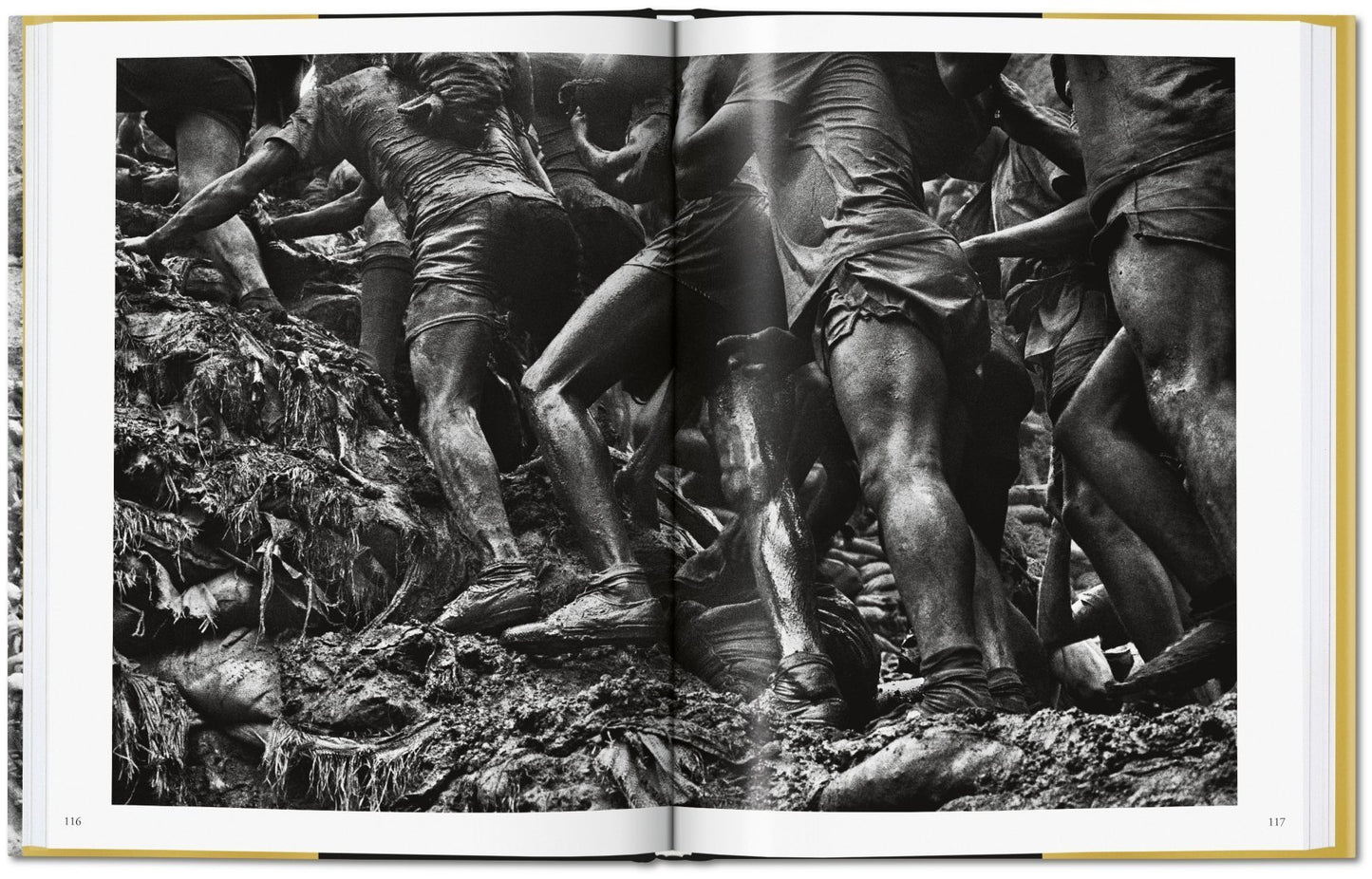 Sebastião Salgado / Gold