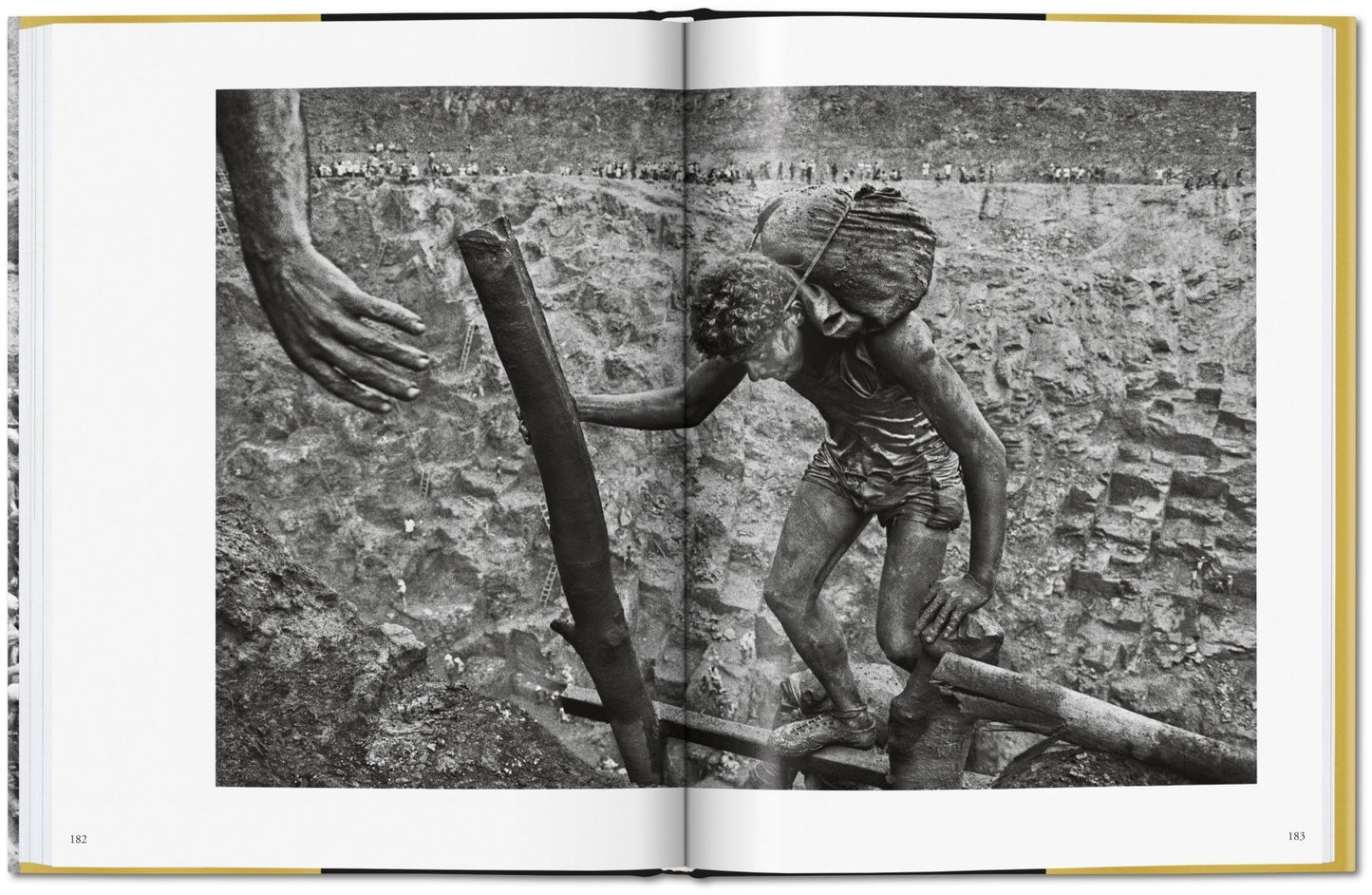 Sebastião Salgado / Gold