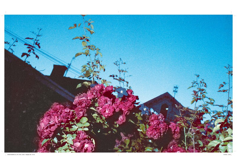 Phillip Prodger / Mark Cohen: Trespass