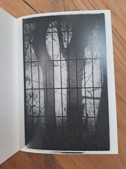Peter Fettich / Flora Laibachensis
