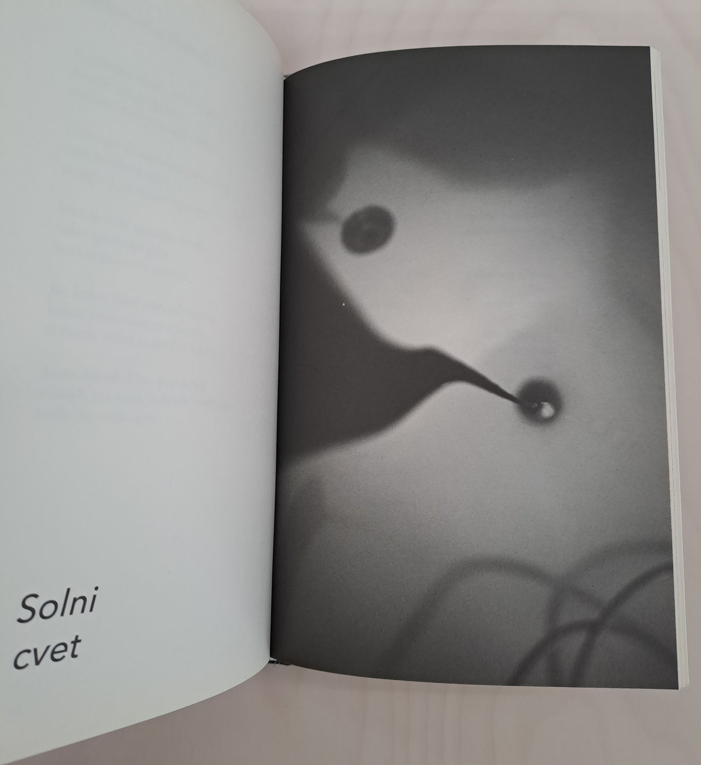 Željko Kozinc / Pozni žarek