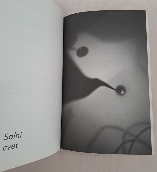 Željko Kozinc / Pozni žarek